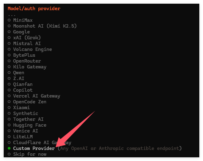 `Custom Provider选择